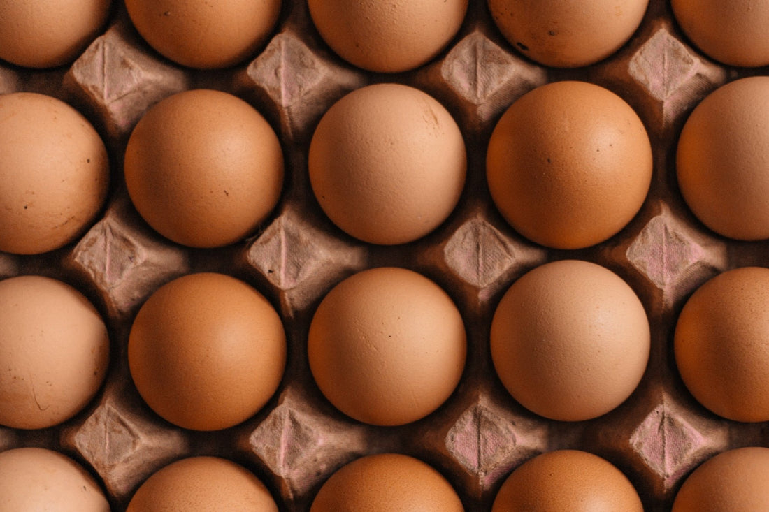 The Link Between Food And Mood - MindJournal